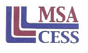 msa.jpg